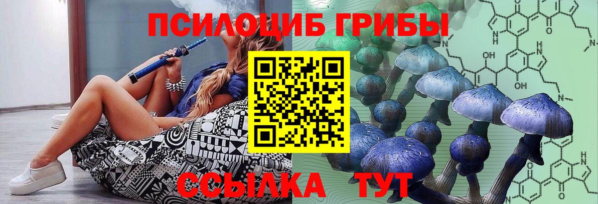 Псилоцибиновые грибы мухоморы Можга